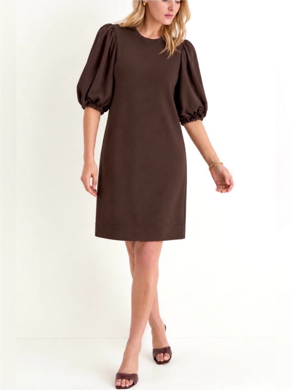 Preston & York Brown Round Neck Knit Puff Sleeve Shift Dress Lined Size 12